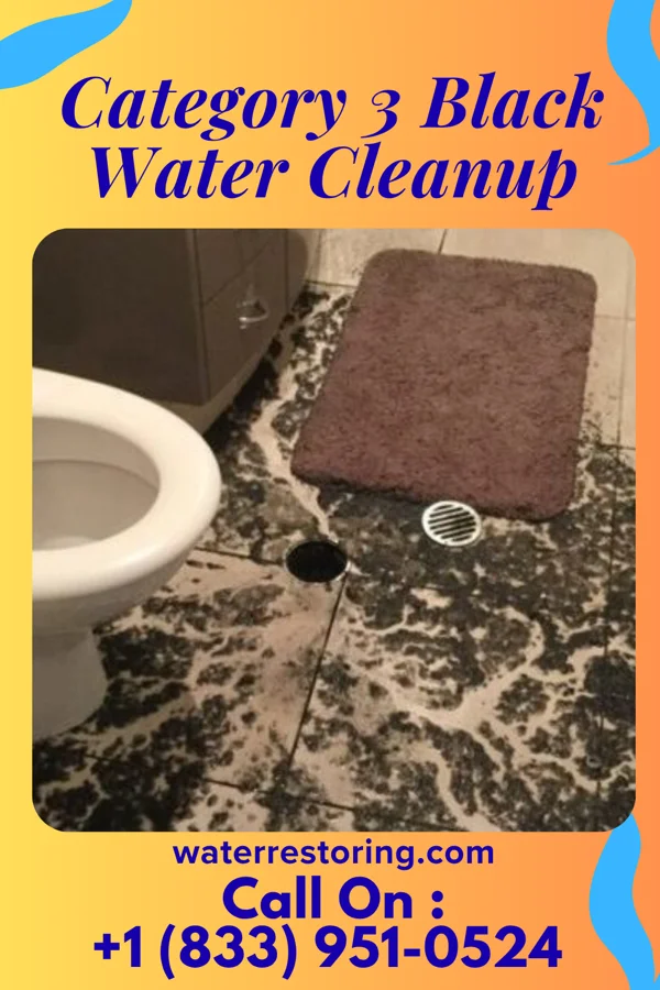 Category 3 Black Water Cleanup in Dodge, NE